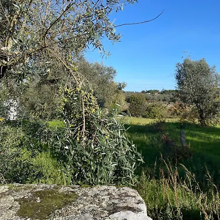Casa Videira * Gouveia (Guarda)