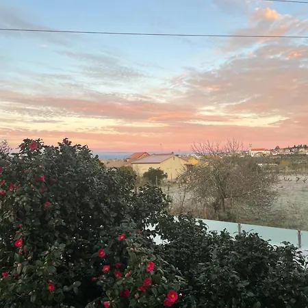 Casa Videira * Говея