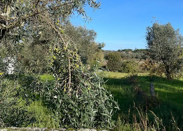 Casa Videira * ゴウヴェイア