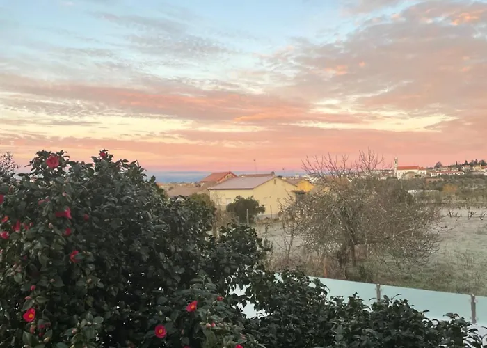 Casa Videira * ゴウヴェイア